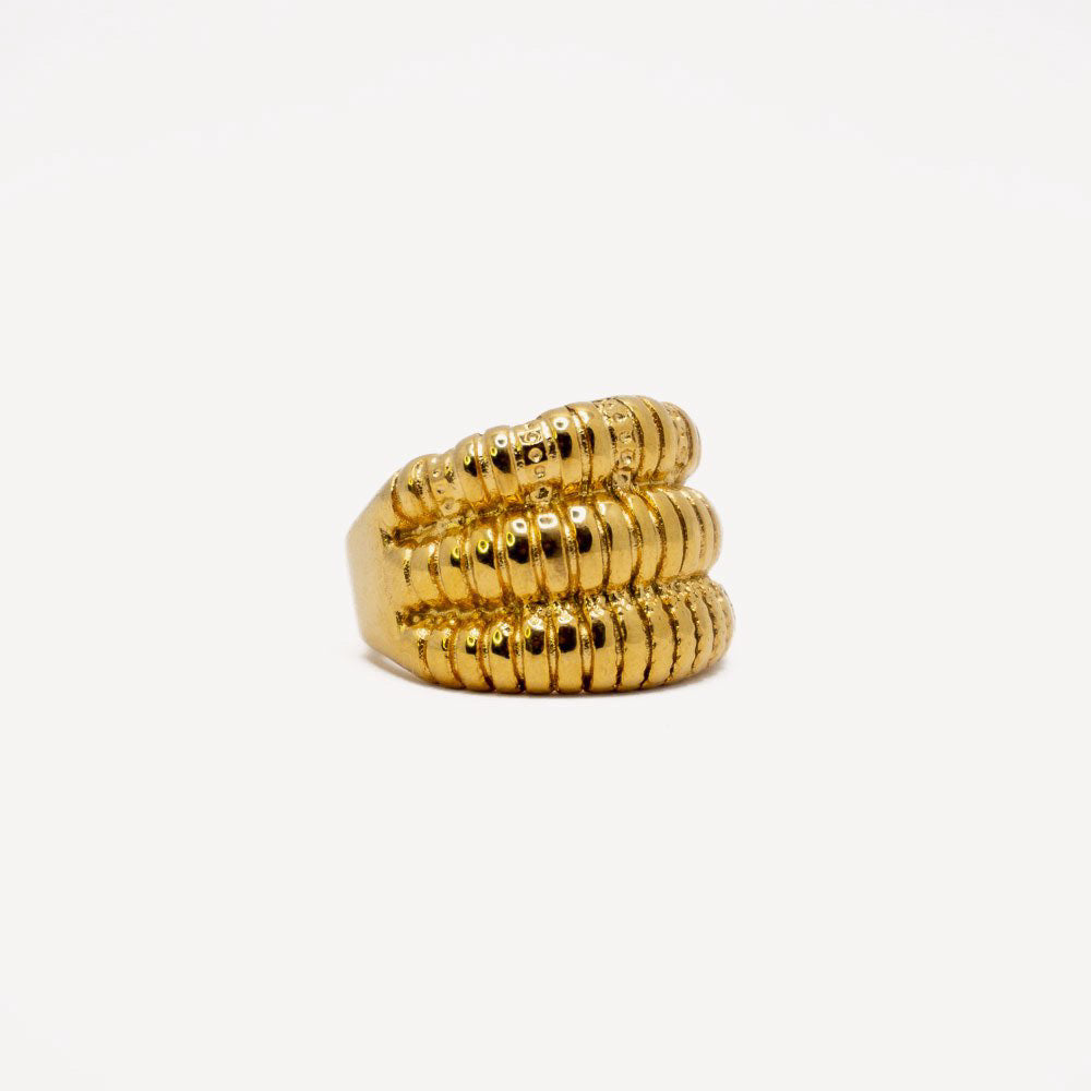 Anillo Arena