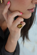 Anillo Aba