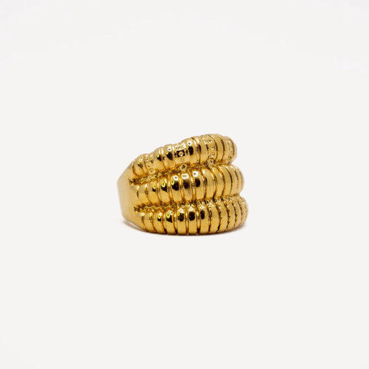 Anillo Arena